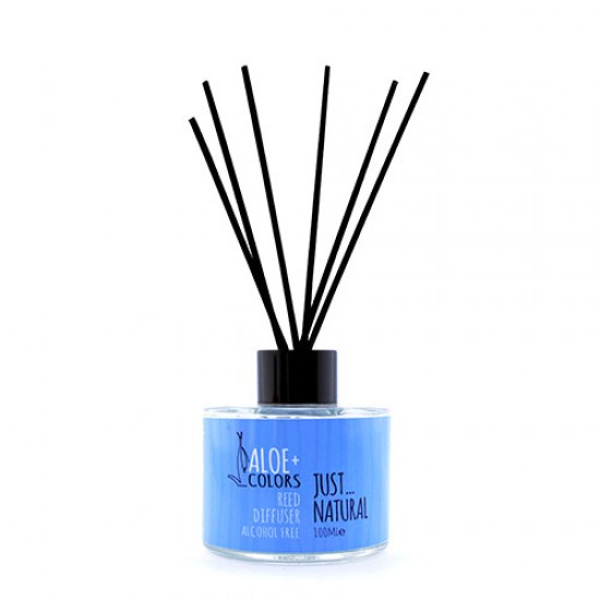 Reed Diffuser Set Just Natural