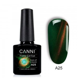 Canni Flame Cat Eye 7.3ml A25