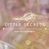 Little Secrets